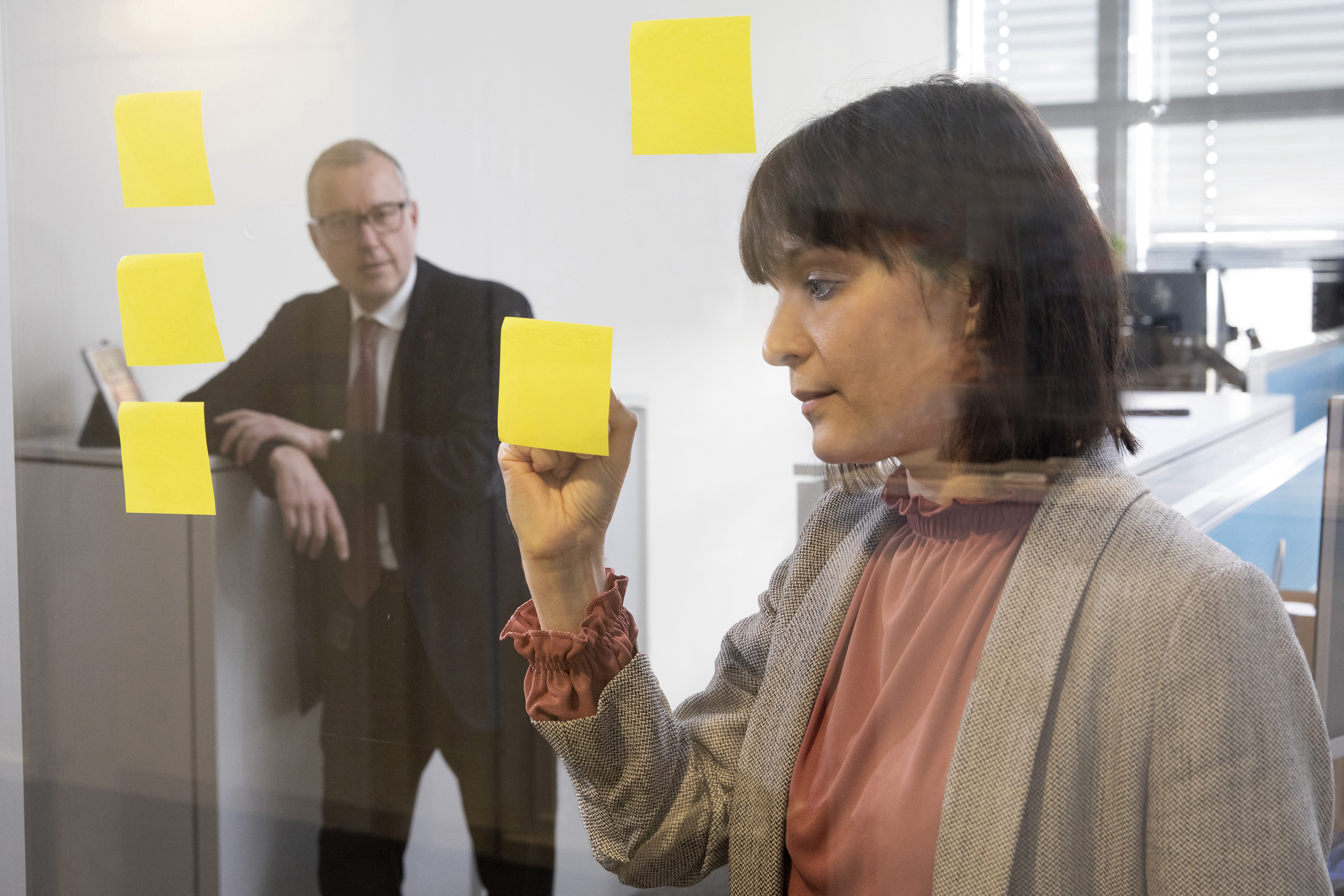 European Stability Mechanism